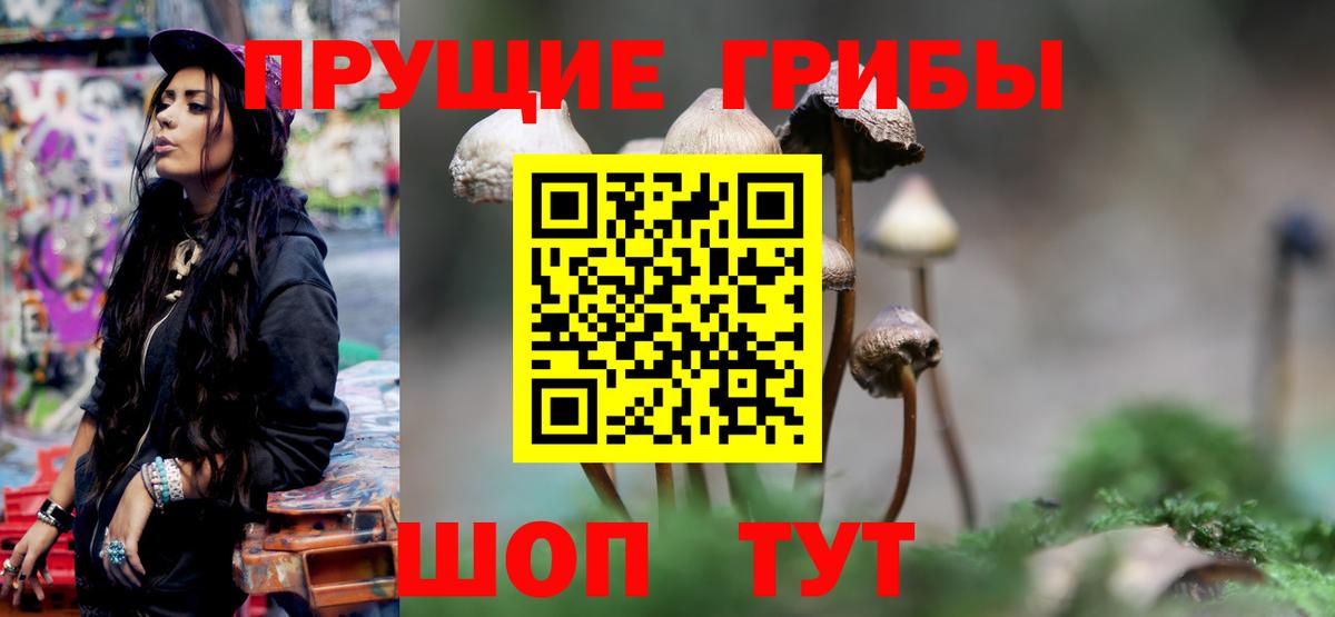 Дзержинск  Псилоцибиновые грибы MAGIC MUSHROOMS  Вход с VPN  закладки  Галлюциногенные грибы мухоморы 